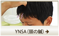 YNSA（頭の鍼）